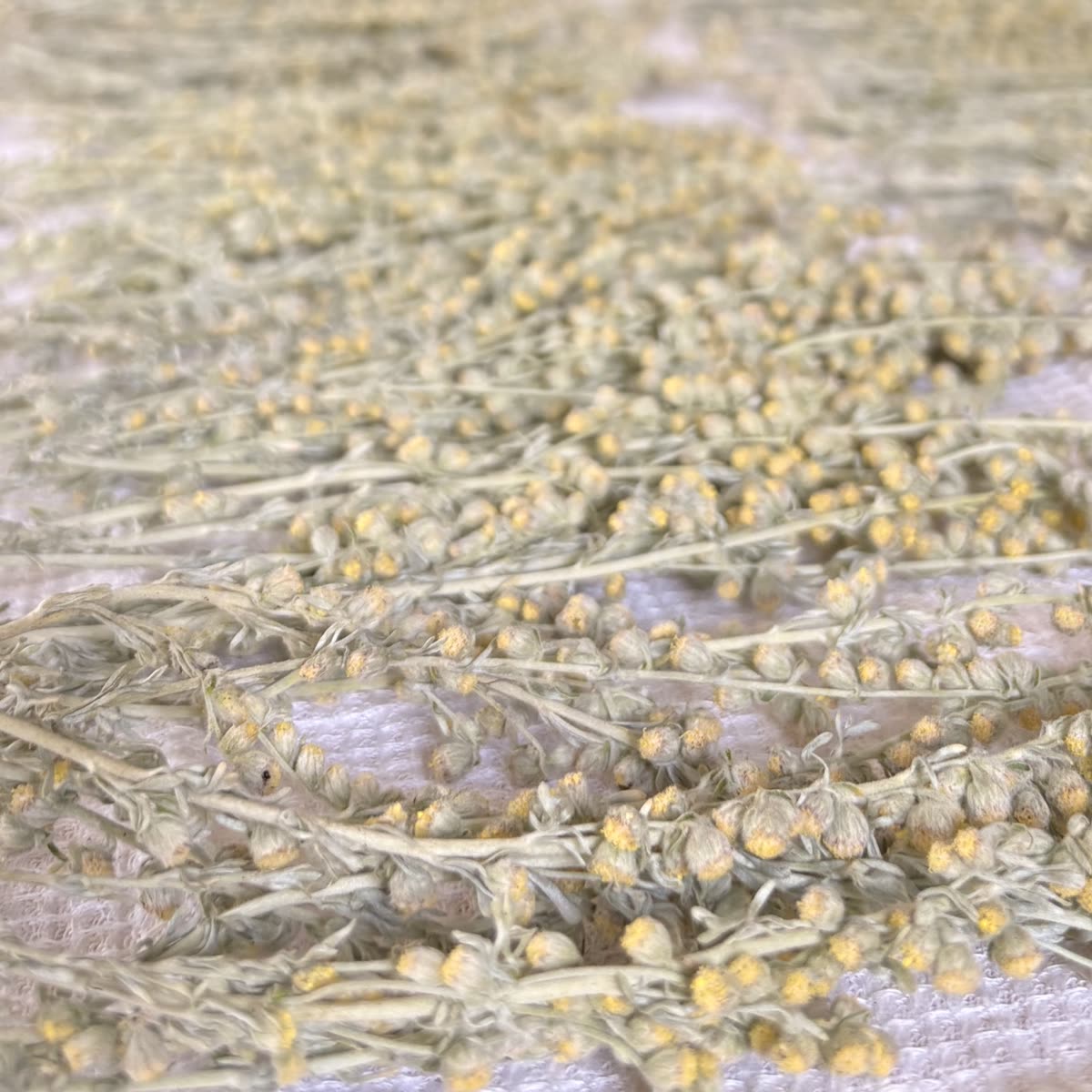 Herbes séchées de la Maison Bo Terra
